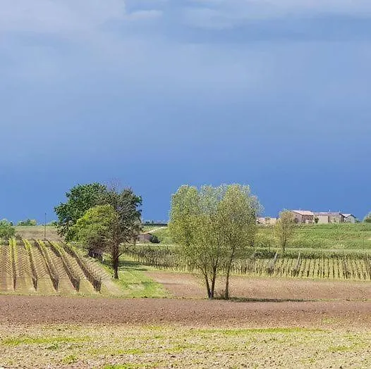 Agriturismo Le Caldane Colà 0*,