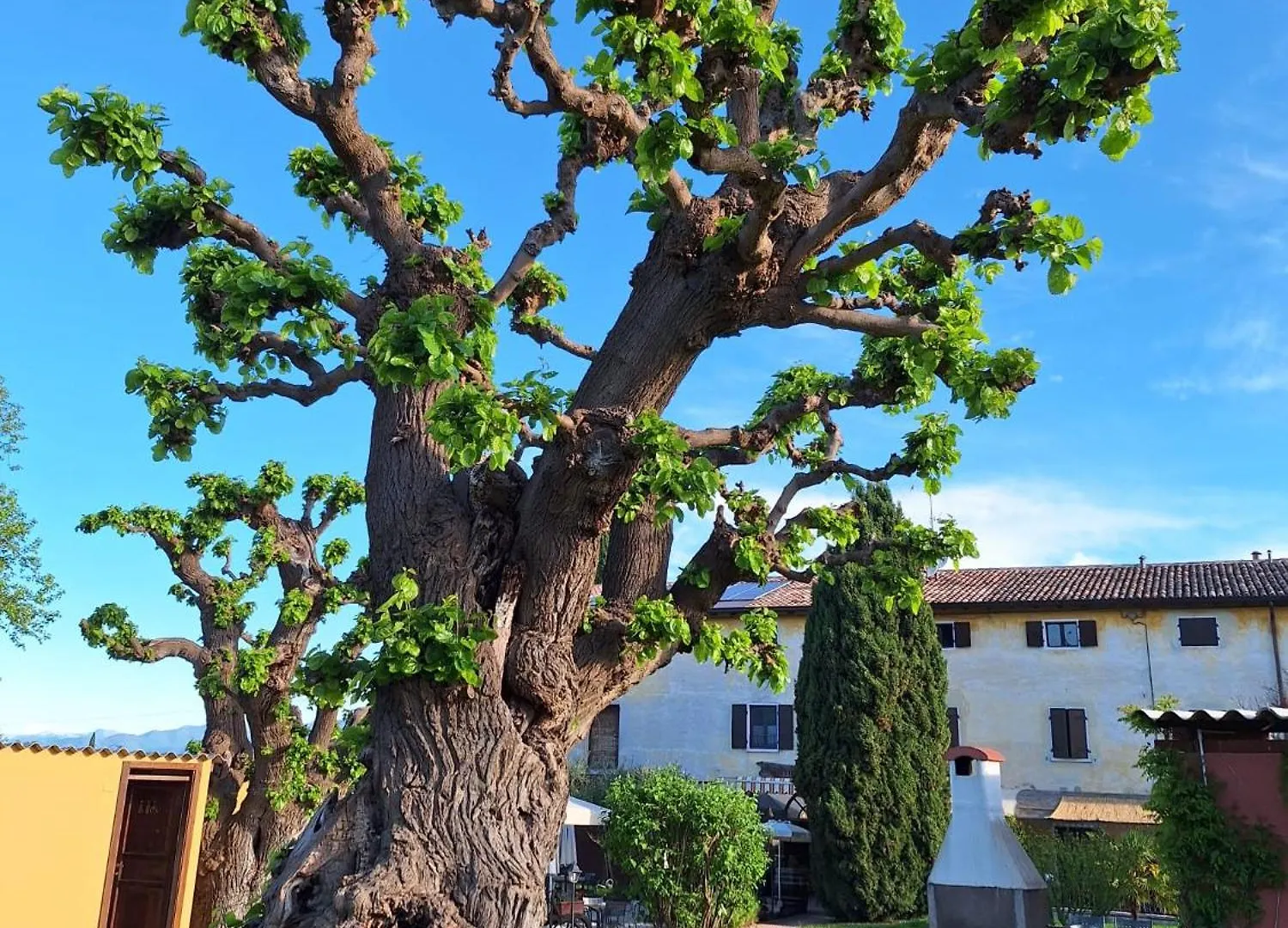 Agriturismo Le Caldane Colà